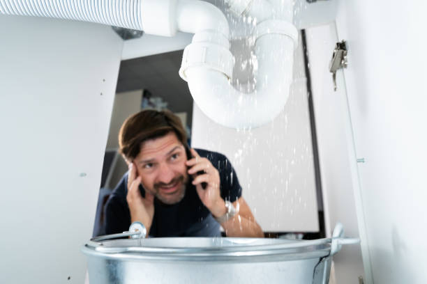 Best Drain Cleaning Services  in Mayer, MN