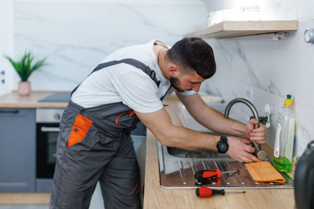 Best Commercial Plumbing Services  in Mayer, MN