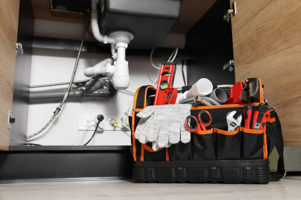 Best Plumbing Inspection Services  in Mayer, MN