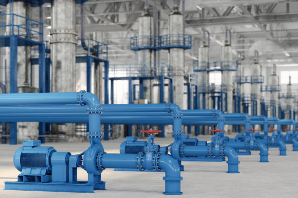 Best Affordable Plumbing Services  in Mayer, MN